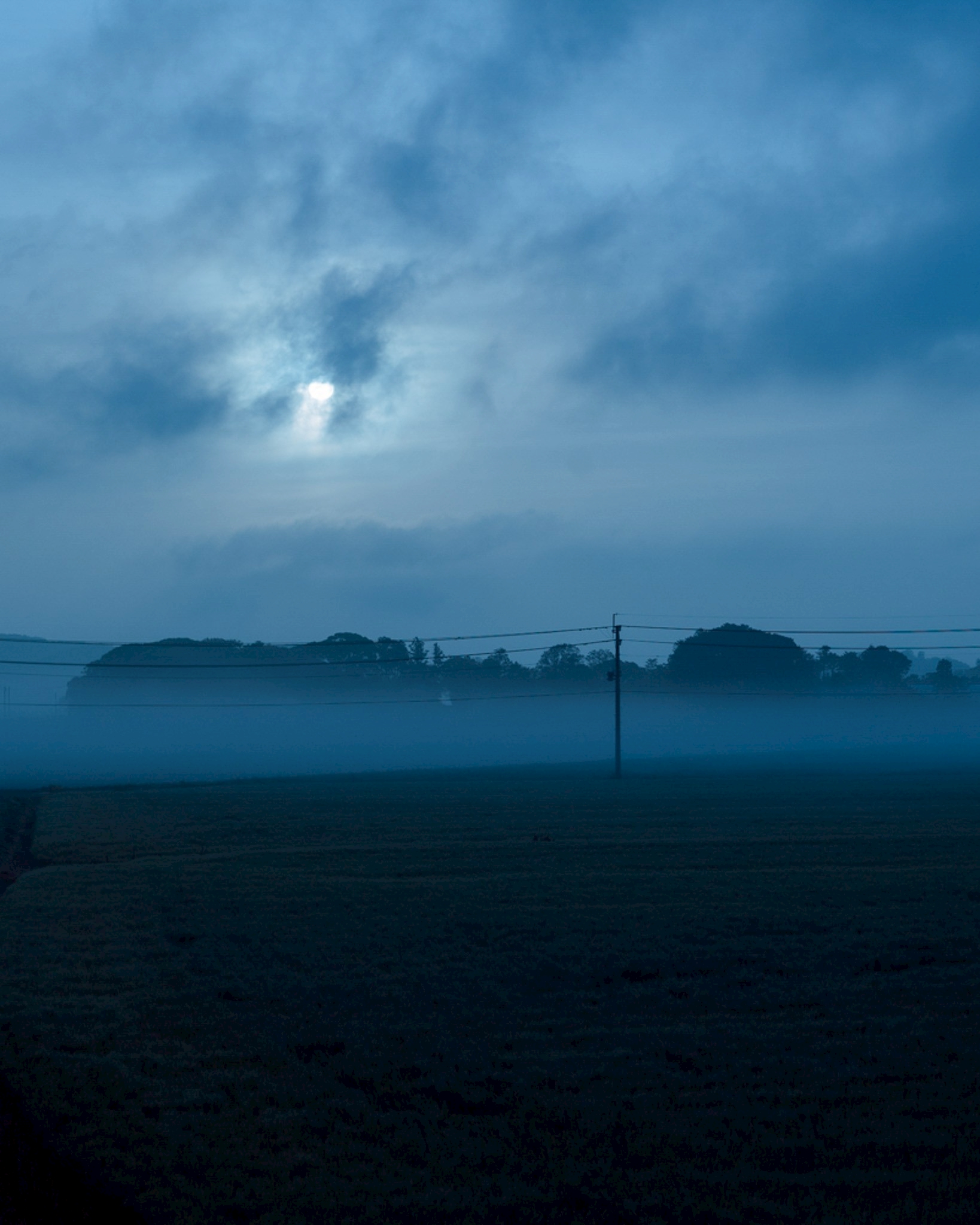 よこやま吟のさとができるまで